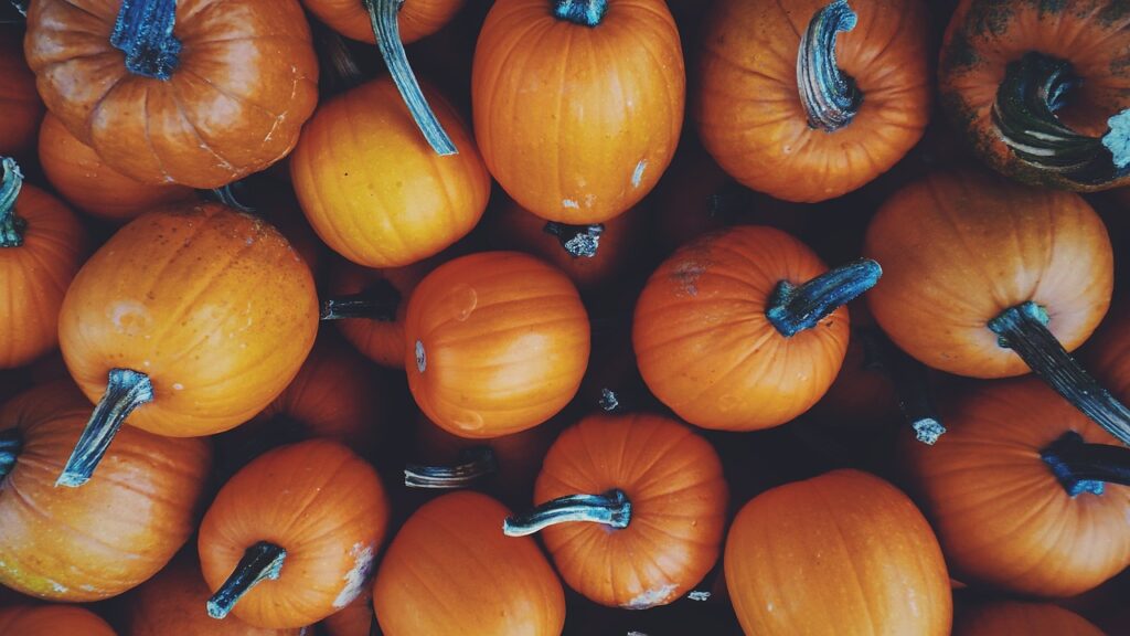 Small pumpkins