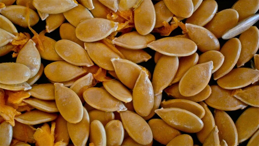 Pumpkin seeds