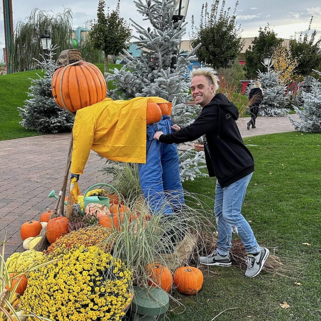 When to harvest pumpkins
