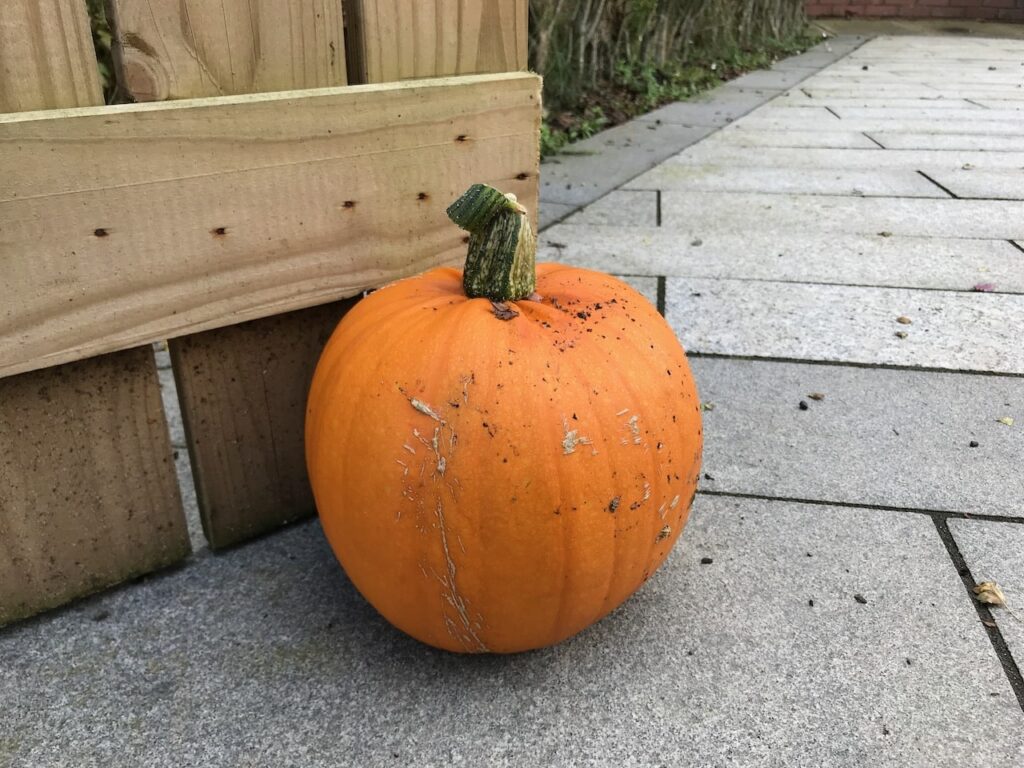 Corked stem