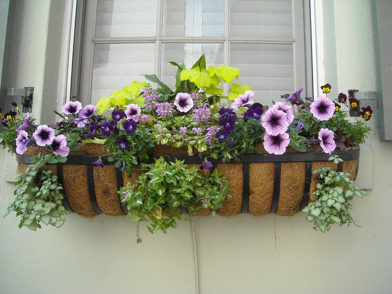 Planted window boxes hanging on a balcony railing