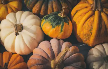 How to harvest pumpkins