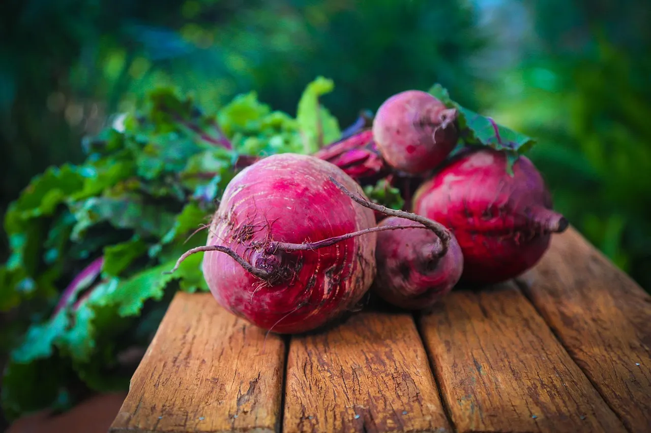 Beetroot harvest