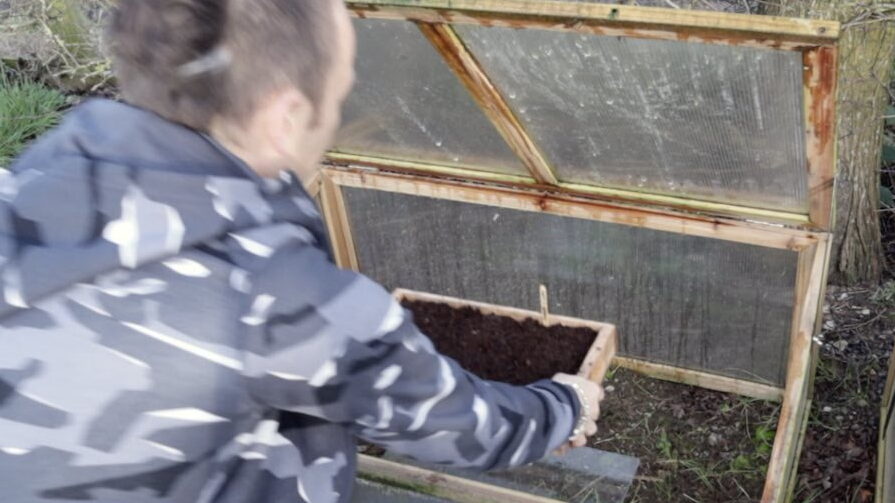 January garden tour seed stratification