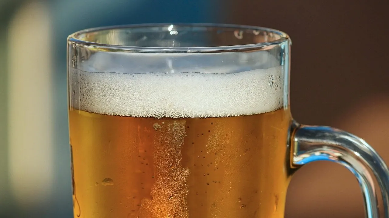 How to set beer traps for slugs