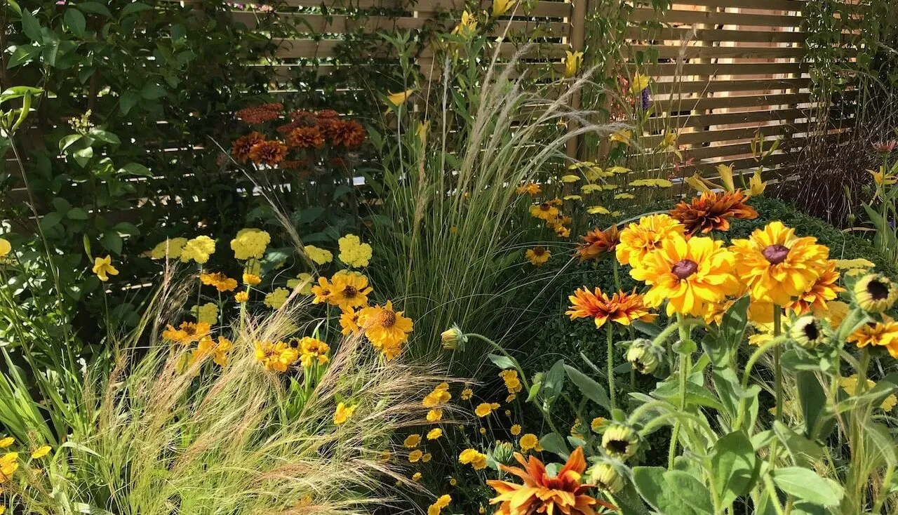 The best yellow flowers guide