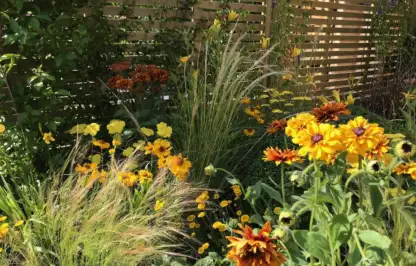 The best yellow flowers guide