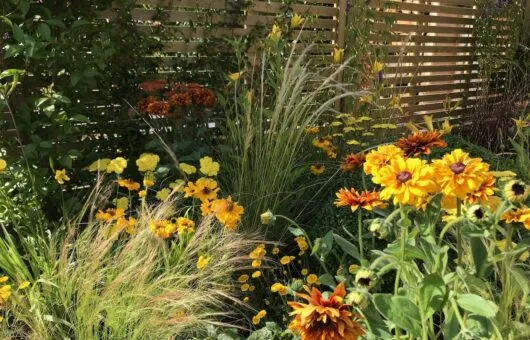 The best yellow flowers guide