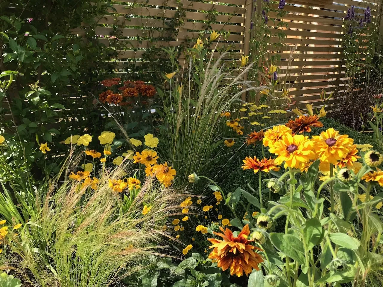 35 Yellow Flowering Plants for UK Gardens: Brighten Your Borders