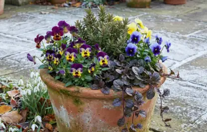 Layering of winter containers