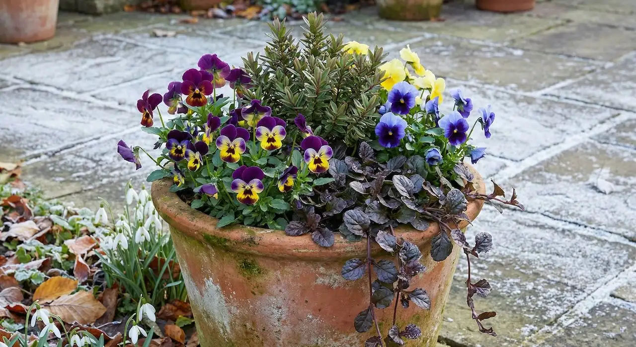 Layering of winter containers