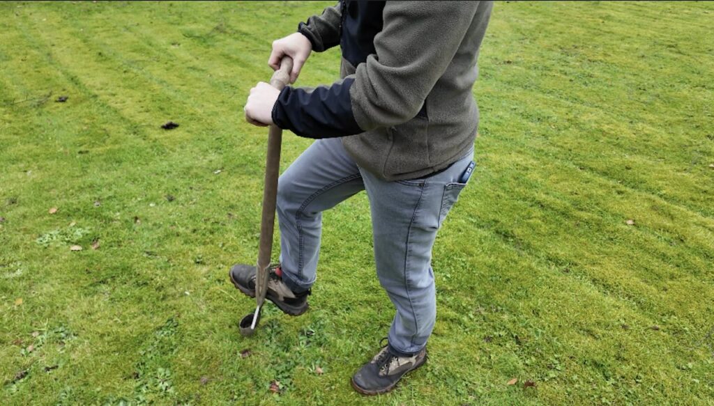How to use a bulb planter