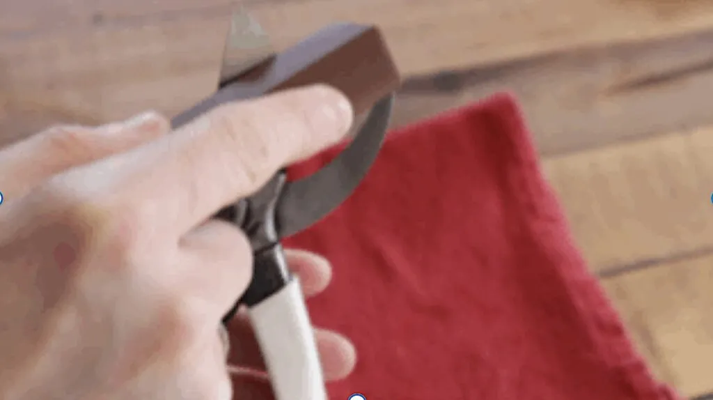 Finishing sharpening secateurs