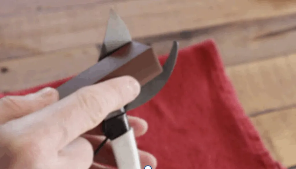 Sharpening secateurs