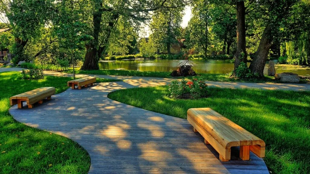 Shaded lawn and moss
