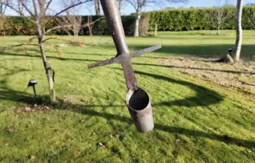 Bulb planter