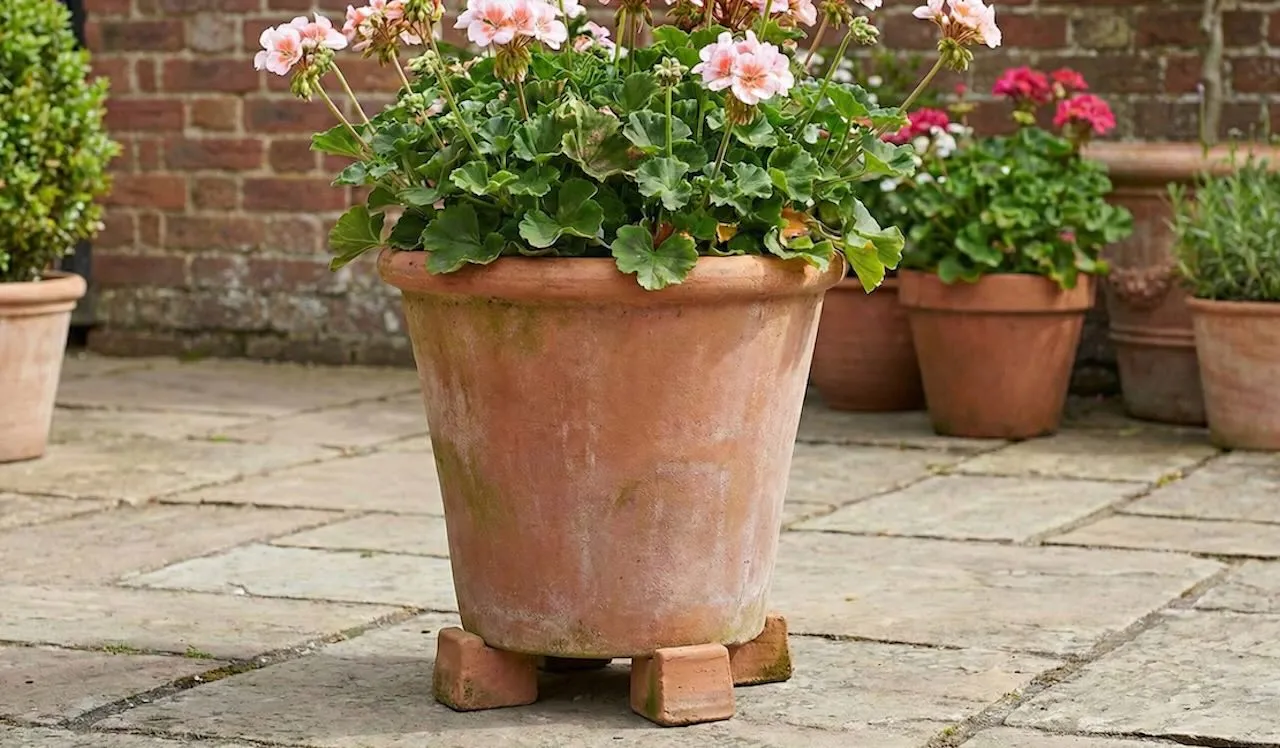 Terracotta pots raised on pot feet to improve drainage