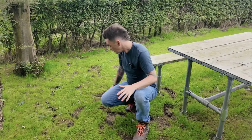 Lee burkhill inspecting lawn grub damage