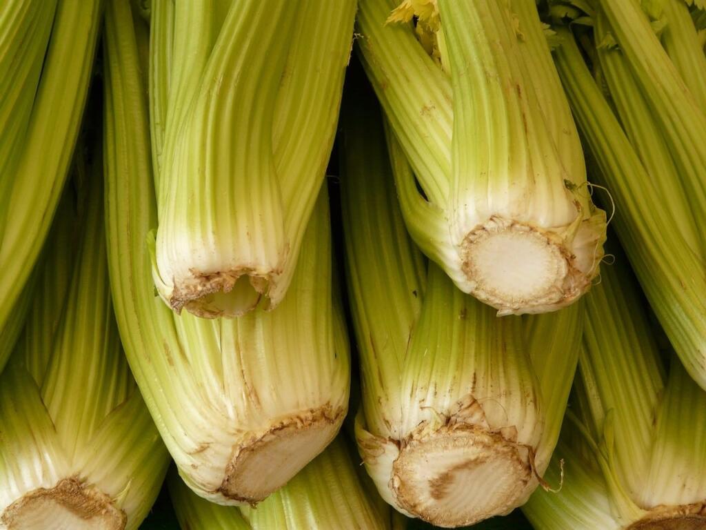what to grow in march