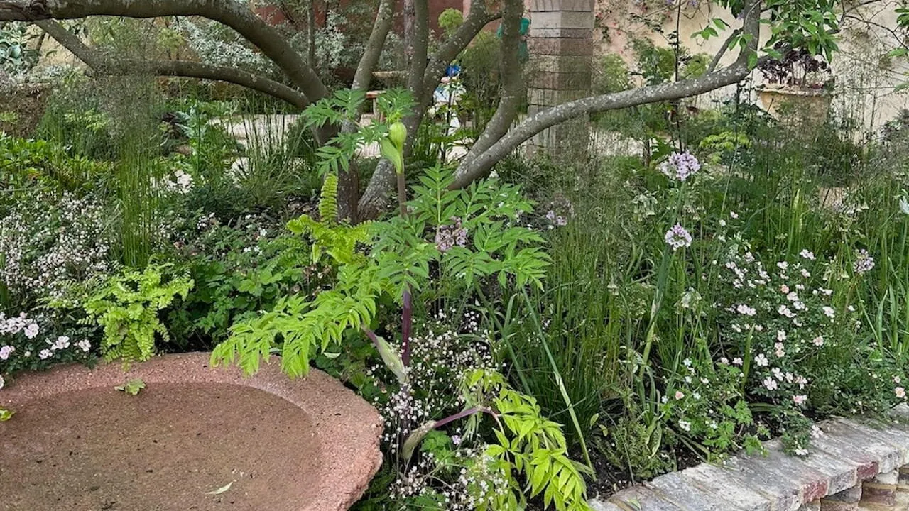 Main avenue show gardens chelsea
