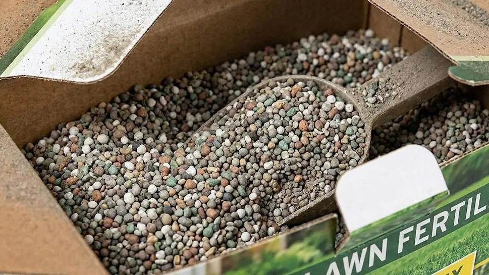 Granular lawn feed