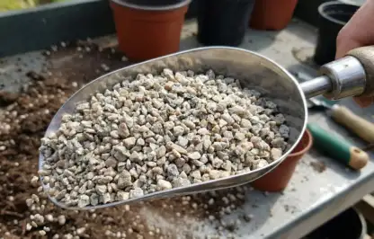 Grit for planting