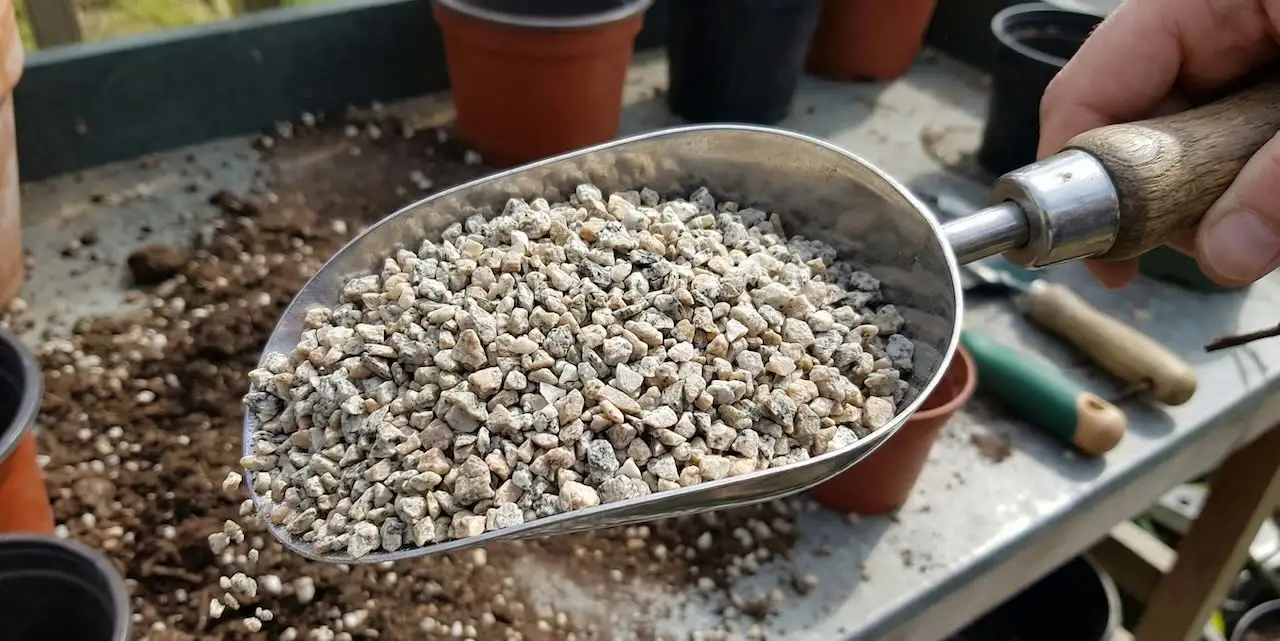 Grit for planting