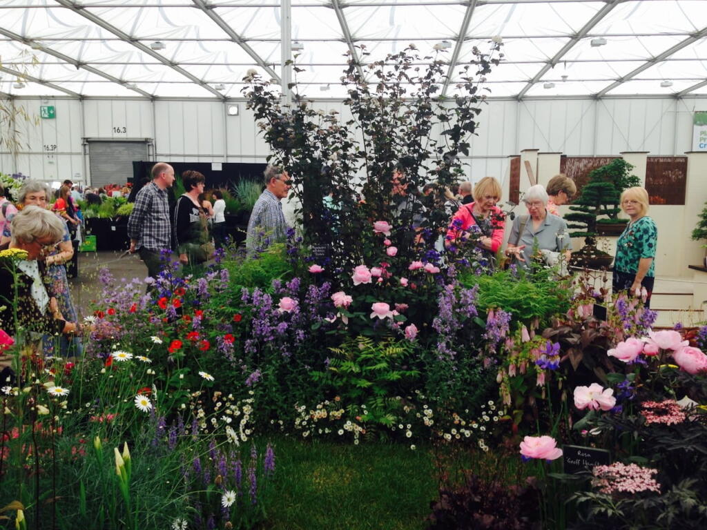 Southport flower show visitors guide