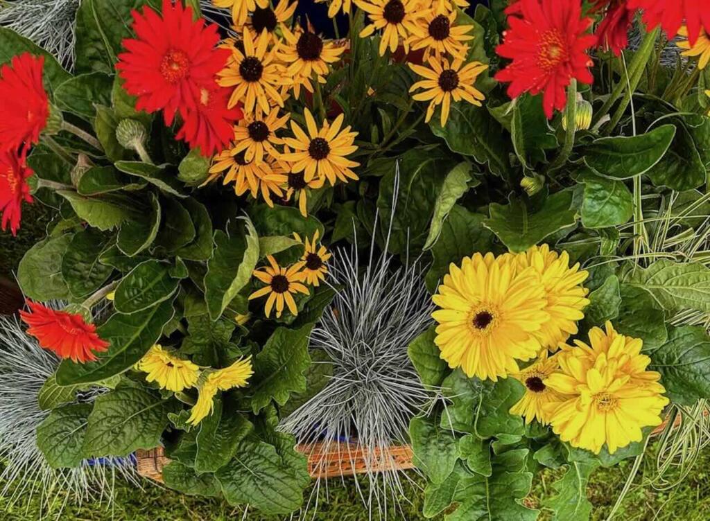 Southport flower show guide
