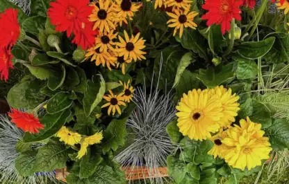 Southport flower show guide