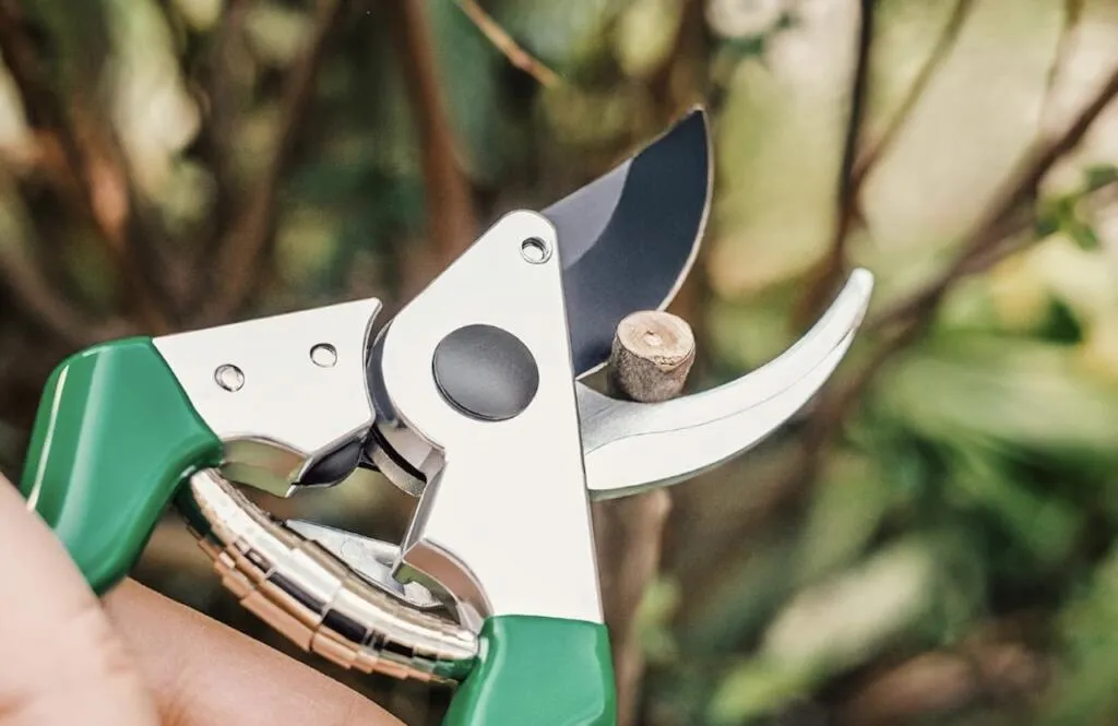 Best secateurs guide