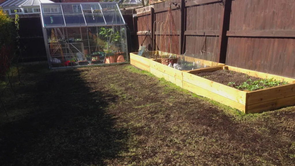 A new scarified lawn