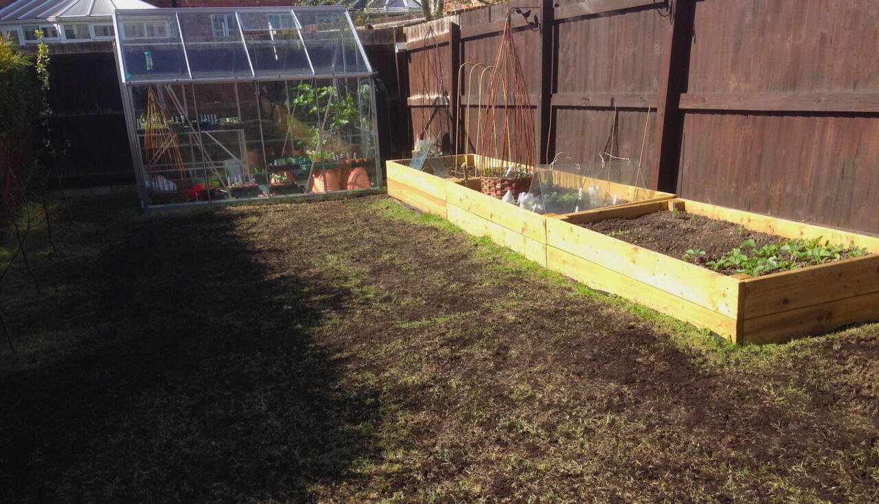 A new scarified lawn