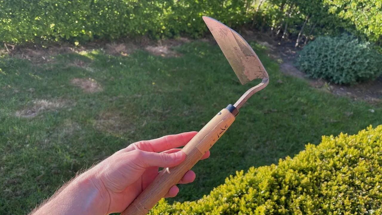 Japanese hand weeder being held by Lee Burkhill