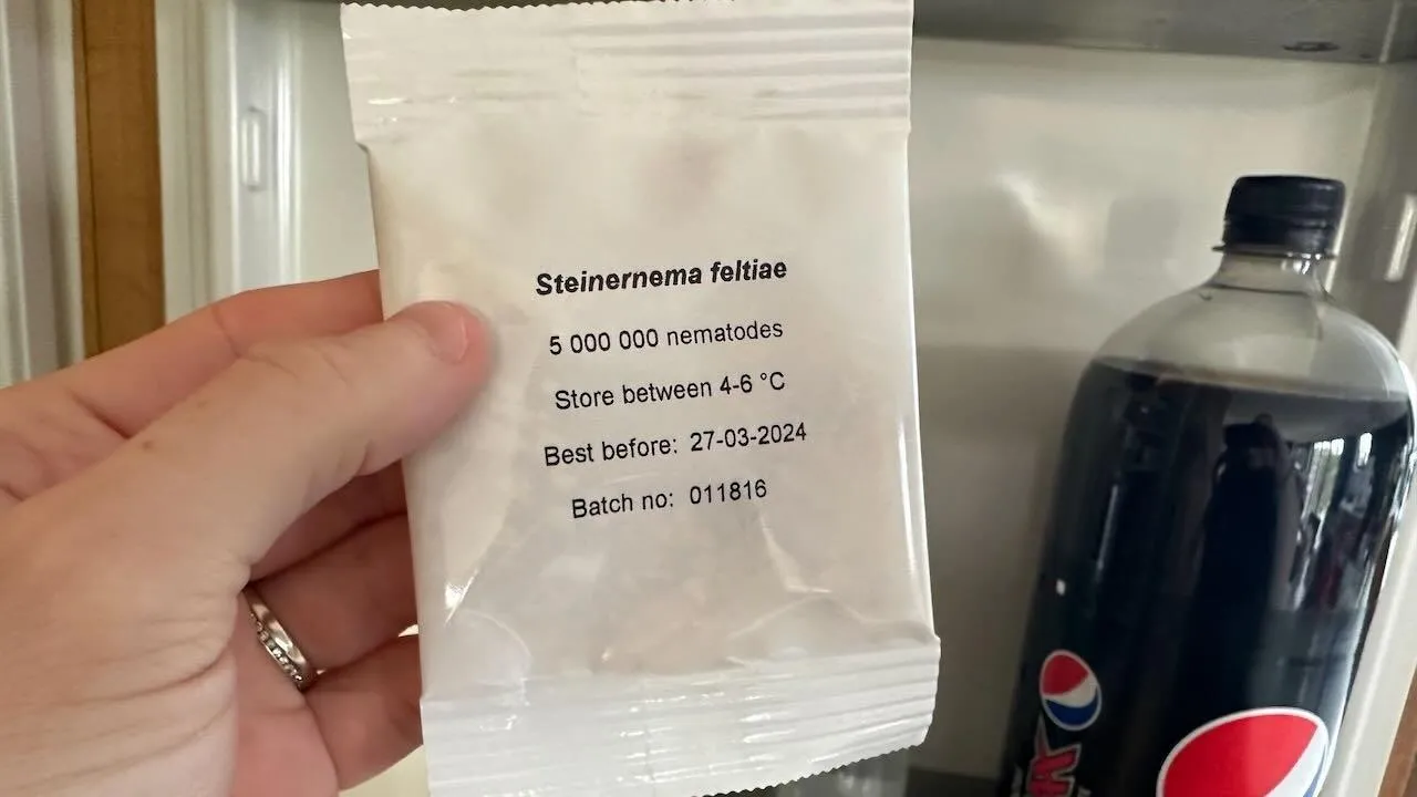 How to mix nematodes for fungus gnats
