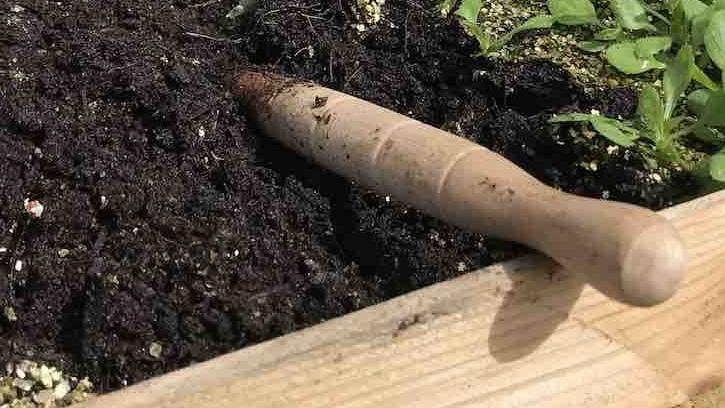 Vlogger garden ninja uses a dibber to remove seedlings