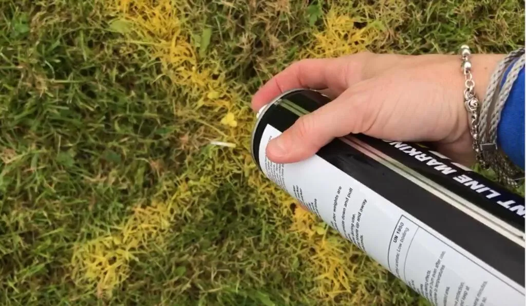 Spray line
