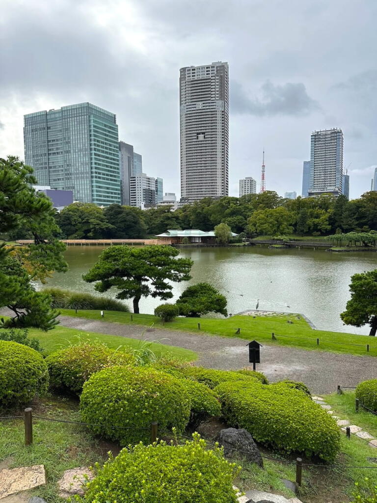 Large japanese hills and mountain garden style