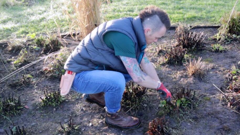 weeding in the garden