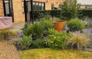 A warm herbaceous flower bed