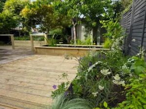 New Garden Starter Kit: Beginner Gardening Checklists
