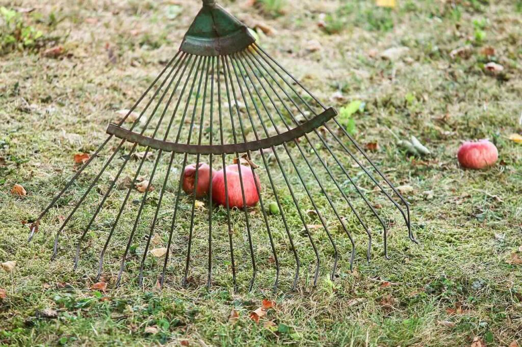 The original garden scarifier a rake