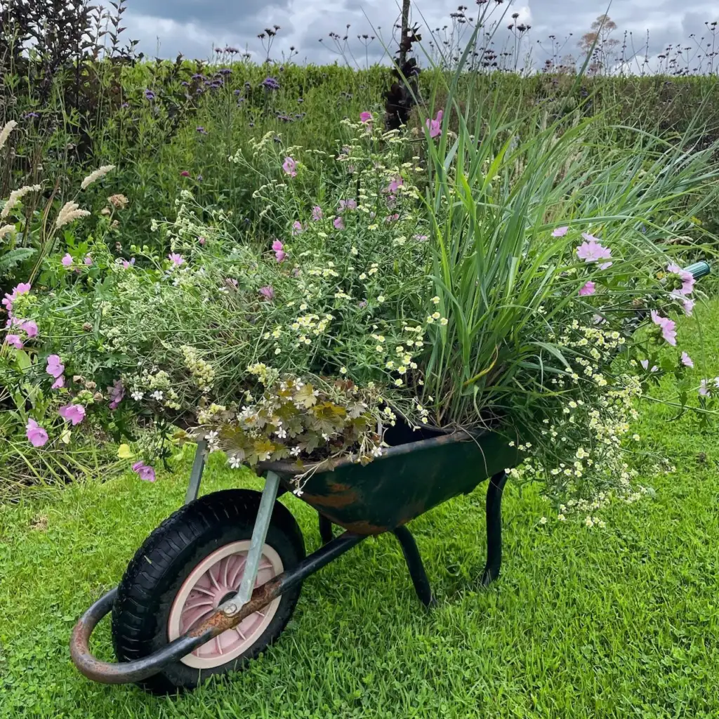 How much to spend on a wheel barrow