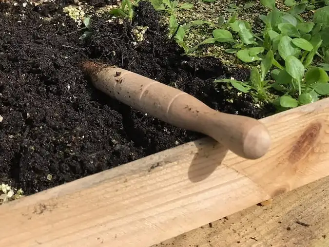 A wooden dibber