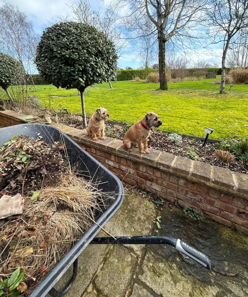 Best large wheelbarrows