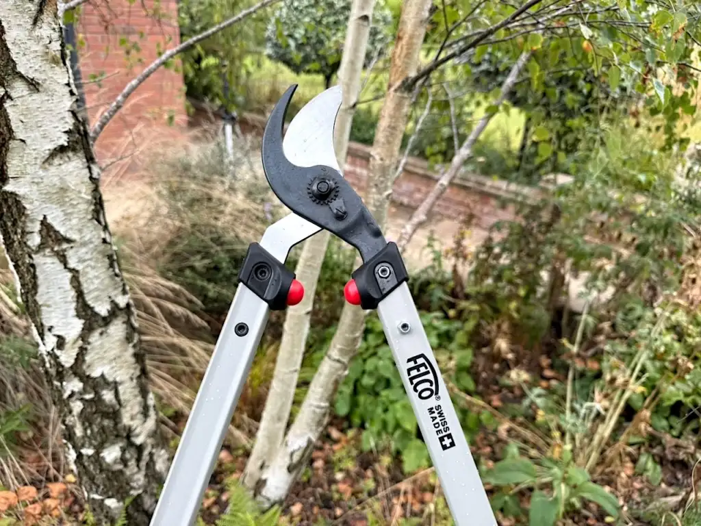 Best garden loppers uk