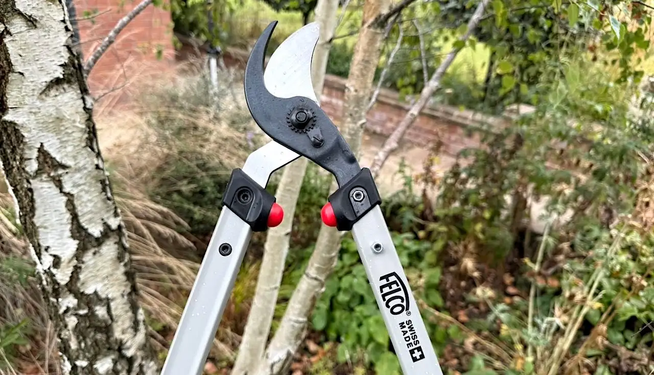 Best garden loppers uk