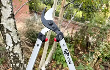 Best garden loppers uk