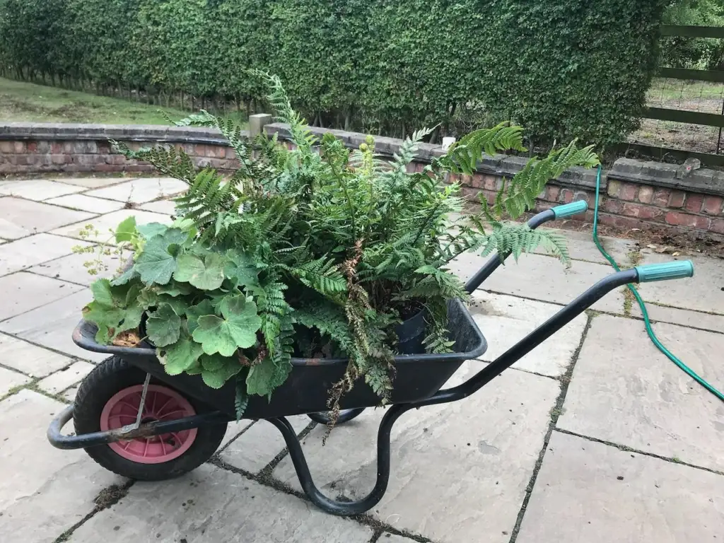 A single wheeled wheelbarrow