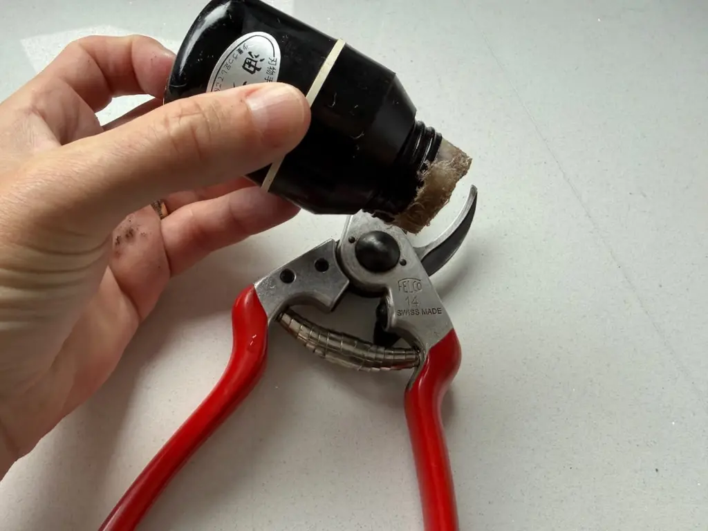 Oiling secateurs after sharpening